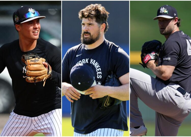 volpe-rodon-cole-new-york-yankees