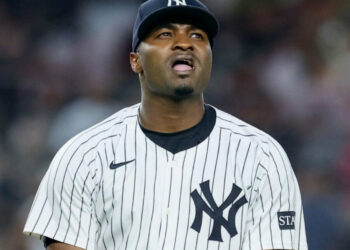yerry-de-los-santos-new-york-yankees