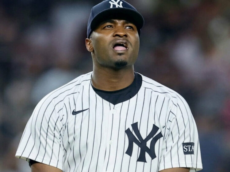 yerry-de-los-santos-new-york-yankees