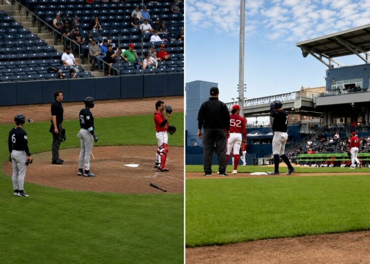 anthony-volpe-new-york-yankees