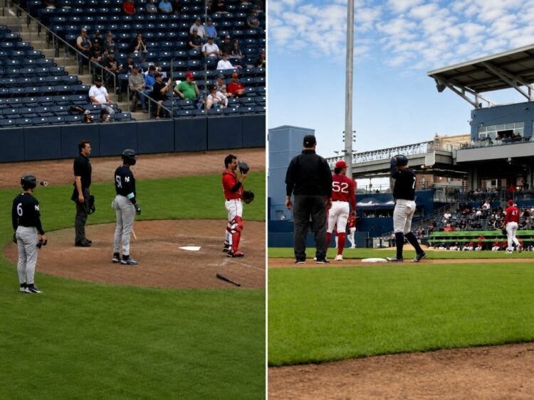 anthony-volpe-new-york-yankees