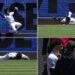 Jasson Dominguez crashed into the left-center wall making a leaping catch in 9-2 win over the Rangers, was carted off and placed on the Yankees IL. May 8, 2026.