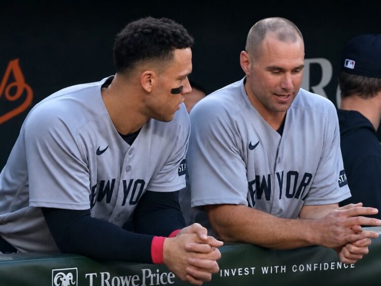 judge-goldschmidt-new-york-yankees