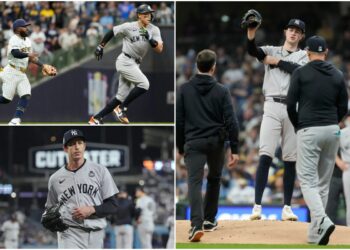 judge-hill-schlittler-new-york-yankees