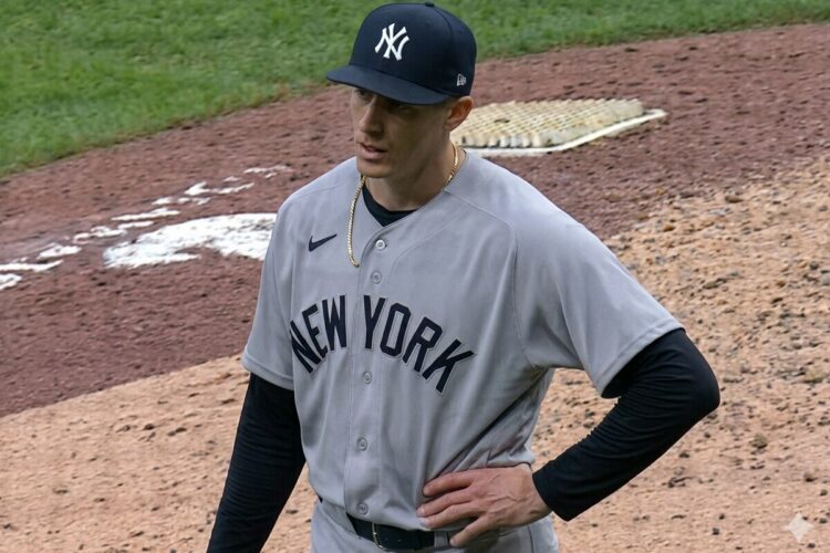 tim-hill-new-york-yankees