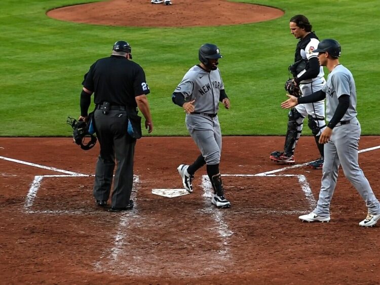 trent-grisham-new-york-yankees