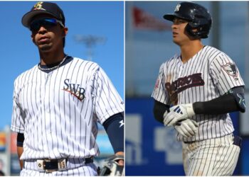 volpe-cabrera-new-york-yankees