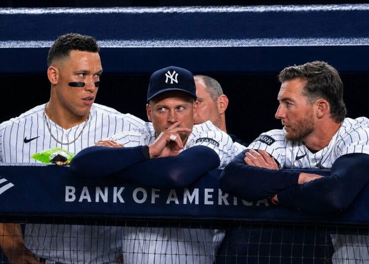 will-warren-new-york-yankees