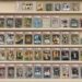 A fan's collection of crads of Yankees slugger Ben Rice.