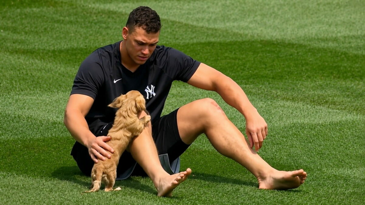 Aaron Judge is with his pet dog Gus before the Yankees' 7-3 win over the Angels, Anaheim, September 1, 2026.
