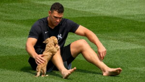 Aaron Judge’s latest setback turns Yankees’ careful October plan into a high-stakes gamble