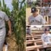 The Yankees take on the White Sox at the Field of Dreams on Thursday in Dyersville, Iowa.